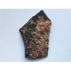 Skořápka z vejce dinosaura